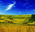 /album/colors/a18-gif1/
