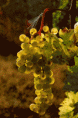 /album/colors/a222-gif/
